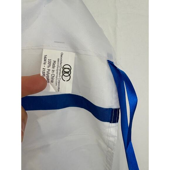 Chicago Cubs Ron Santo Flag #10 Wrigley Field MLB Stubhub Stripe Blue White - Picture 4 of 7